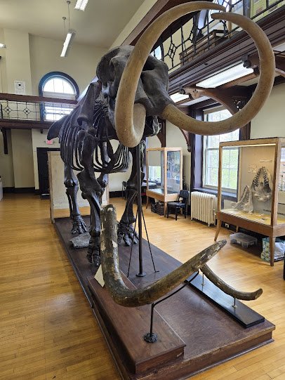 Rutgers Geology Museum photo 3