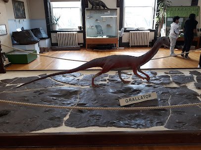 Rutgers Geology Museum photo 5