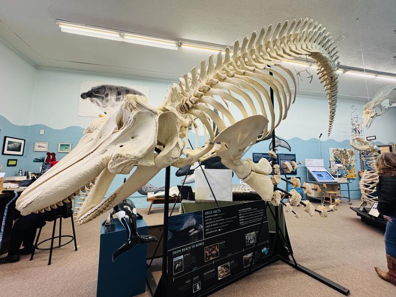 Noyo Center For MARINE Science photo 1