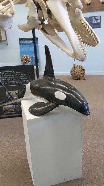 Noyo Center For MARINE Science photo 2