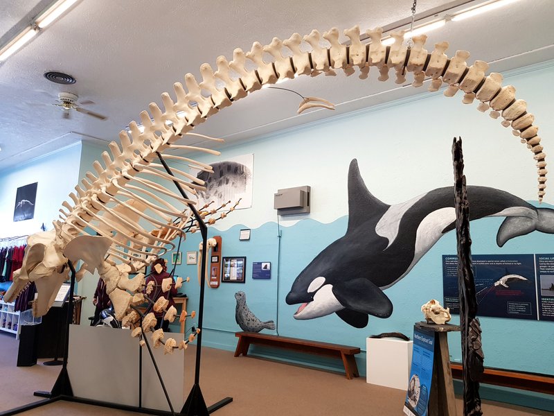 Noyo Center For MARINE Science photo 3