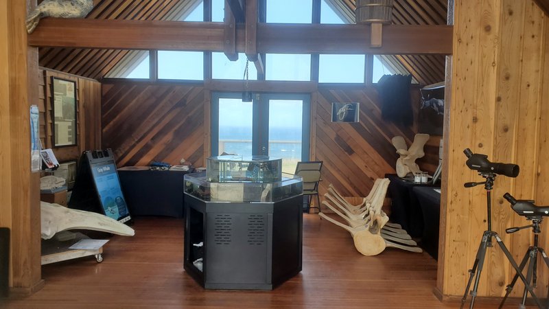 Noyo Center For MARINE Science photo 6