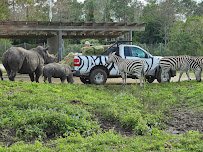 Lion Country Safari photo 4