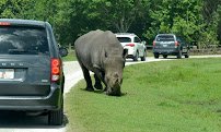 Lion Country Safari photo 6