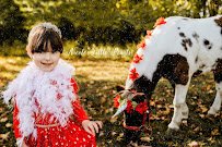 Dream Maker Farm & The Traveling Zoo photo 6