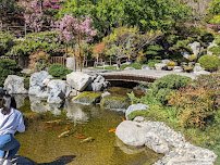 Japanese Friendship Garden & Museum photo 3