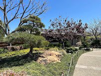 Japanese Friendship Garden & Museum photo 4