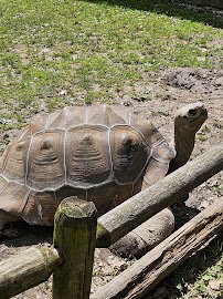 Henson Robinson Zoo photo 5