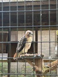 Harris Nature Center photo 6