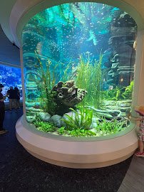 Shedd Aquarium Store photo 4