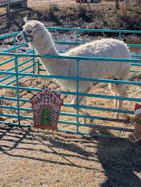 Triple J Stables & Petting Zoo