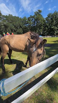 Triple J Stables & Petting Zoo photo 2
