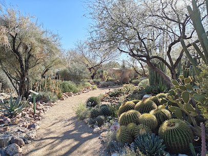 Tucson Botanical Gardens photo 6
