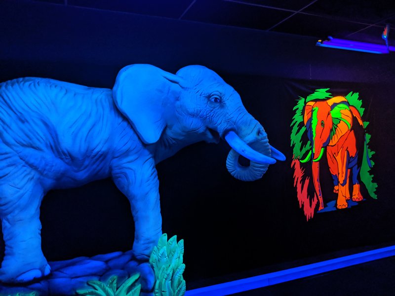 Glow Putt LLC photo 6