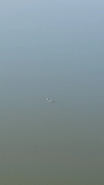 Prairie Park Nature Center photo 2