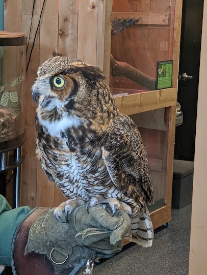 Prairie Park Nature Center photo 5