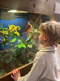 Topsail Aquarium photo 6