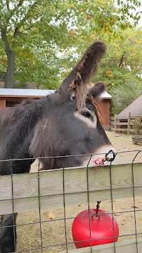 Children's Zoo photo 2