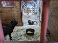 Children's Zoo photo 5