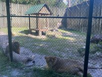 Zoo nature center