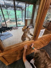 Zoo nature center photo 2