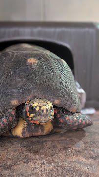Zoo nature center photo 3
