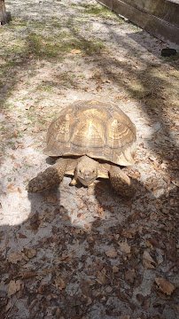 Zoo nature center photo 4