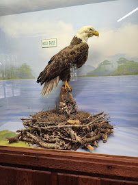 Zoo nature center photo 6