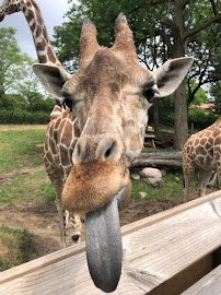 Indianapolis Zoo photo 3
