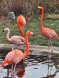 Indianapolis Zoo photo 4