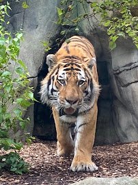Indianapolis Zoo photo 5