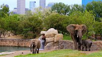 Indianapolis Zoo photo 6