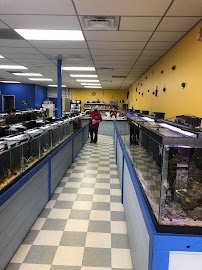Fish World Spokane photo 4