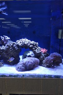 Fish World Spokane photo 5