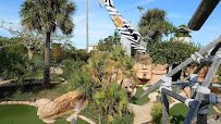 Congo River Golf
