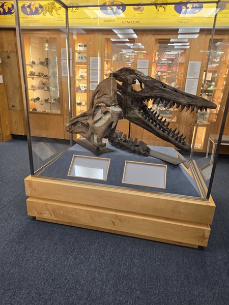 Hicksville Gregory Museum photo 4