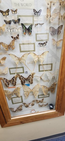 Hicksville Gregory Museum photo 5