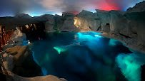 Wild Arctic photo 2