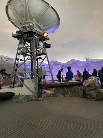 Wild Arctic photo 6
