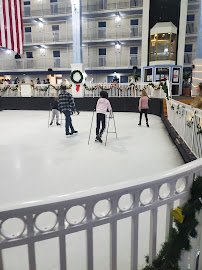 Carousel Ice Skating Rink photo 3