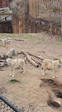 Zambezi River Hippo Camp photo 3
