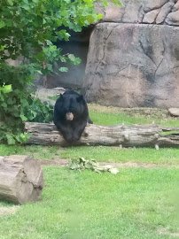Rowan Nature Center/Cheerwine Aquarium/Nature Center Auditorium/Offices photo 2