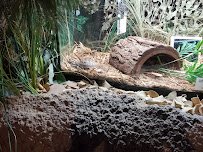 Rowan Nature Center/Cheerwine Aquarium/Nature Center Auditorium/Offices photo 5