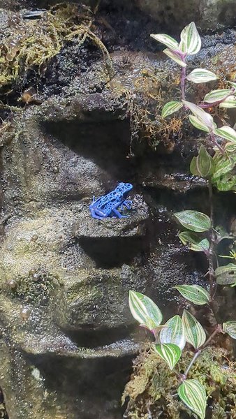 National Amphibian Conservation Center photo 6