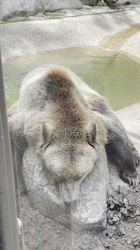 Dakota Zoo photo 2