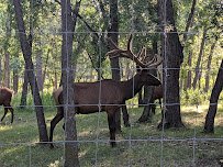 Dakota Zoo photo 4