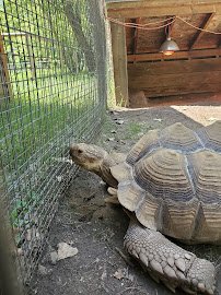 Dakota Zoo photo 5