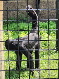 Dakota Zoo photo 6