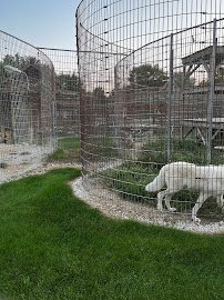 Big Run Wolf Ranch photo 4