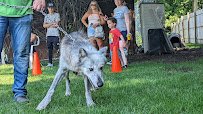 Big Run Wolf Ranch photo 6